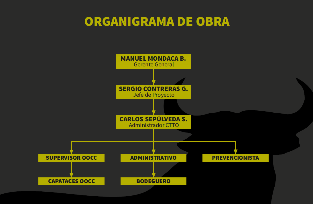 ORGANIGRAMA